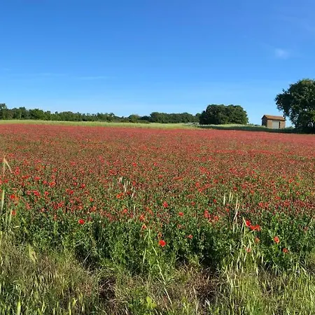 Turistico La Balocca Montefiascone