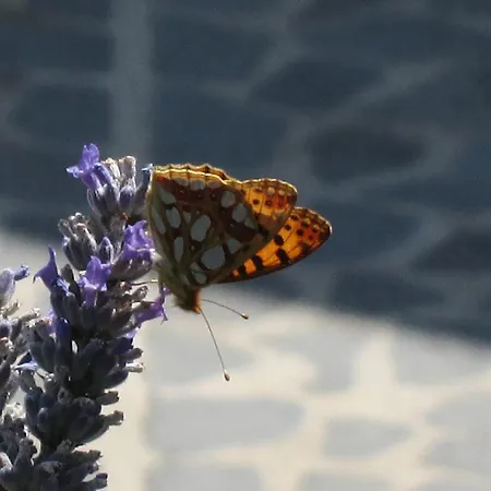 Pensión Turistico La Balocca 4*