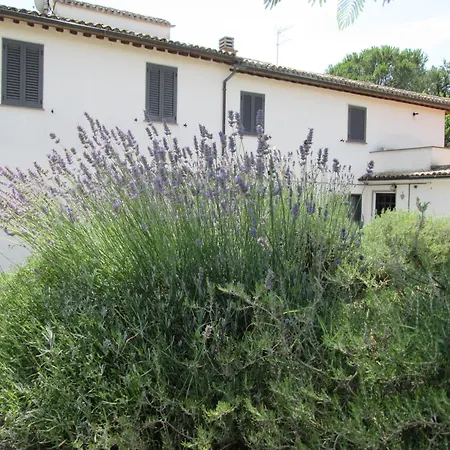 Turistico La Balocca Pensión Montefiascone