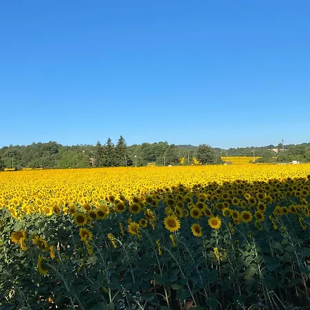 Pensión Turistico La Balocca