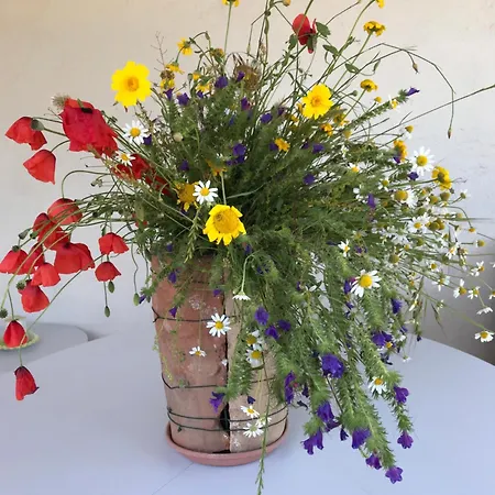 Turistico La Balocca Pensión 4*